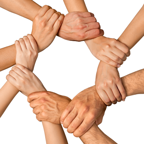 Online Community